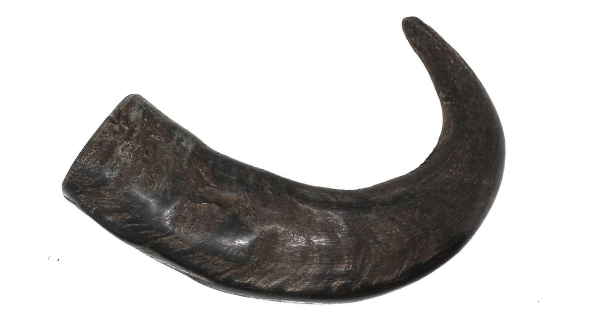 peaksNpaws Premium Free Range & Grass Fed Buffalo Horns - Medium