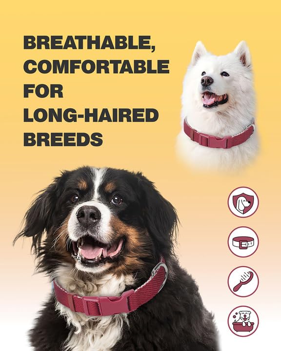 Dynmeow Soft And Breathable Cotton Dog Collar, Durable Adjustable Heavy-Duty Pet Collar With Quick-Release Buckle, Lightweight F