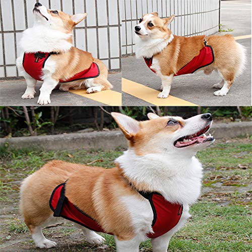 Kelendle Warm Pet Vest - Belly Cover Protector Harness for Short Leg Female Dogs & Puppies - Waterproof Pet Costume