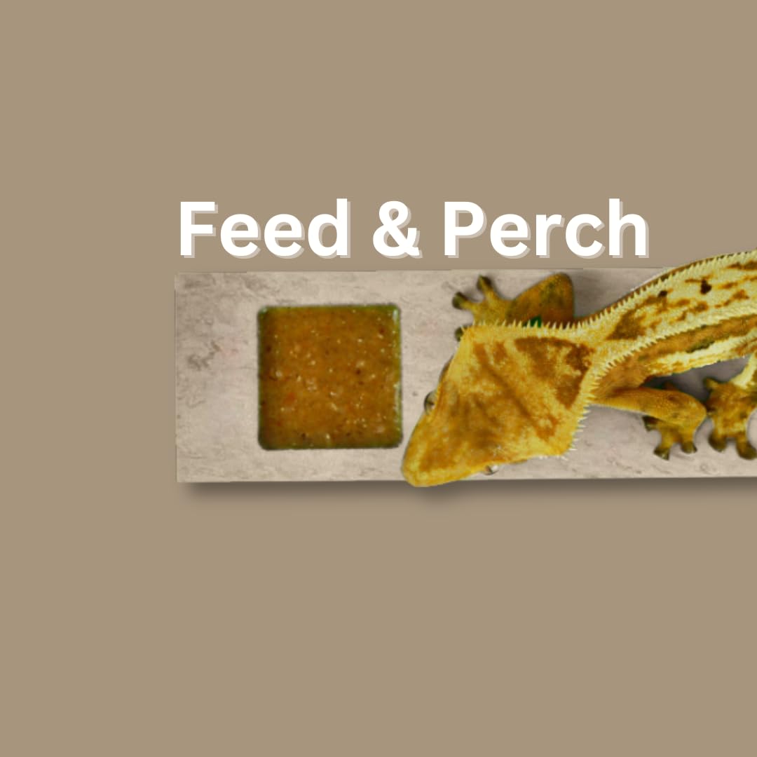 GECKOPIA Reptile Flex Bridge Large (Plain Wood, 18 Inch Long)