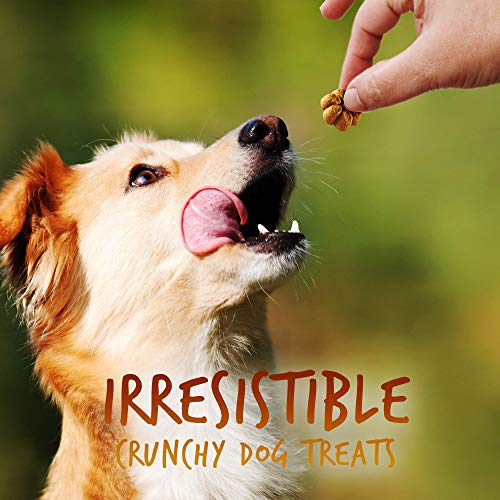 Fruitables Baked Dog Treats - Healthy Low Calorie - Free of Wheat, Corn and Soy - Pumpkin and Banana - 12 Ounces