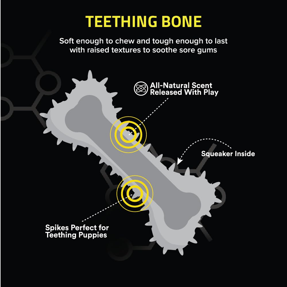 Playology Puppy Teething Bone Dog Toy for Young & Active Dogs | Engaging All-Natural Peanut Butter Scented Jumbo Sized Chew Toy