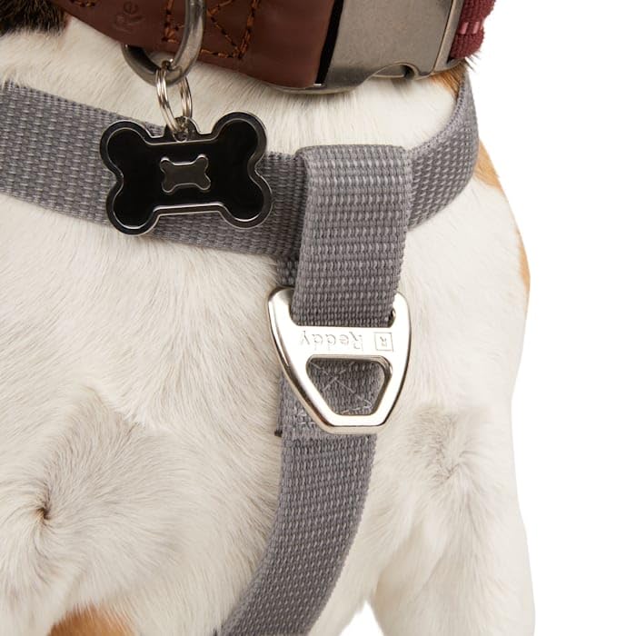Reddy Grey Reflective Dog Harness Large
