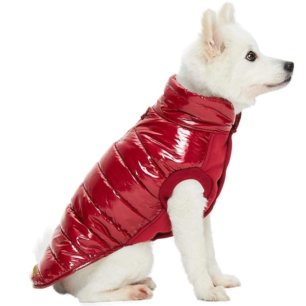 Blueberry Pet Cozy & Comfy Windproof Lightweight Quilted Fall Winter Glossy Dog Puffer Jacket In Deep Rouge, Back Length 18.5', Size 18, Warm Coat For Large Dogs