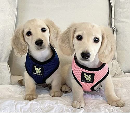 Ecobark Dog Harness - Eco-Friendly Max Comfort Harnesses - Luxurious Soft Mesh Halter - Over The Head Harness Vest- No Pull And No Choke For Small, Toy Breed, And Teacup Dogs (Xs, Navy)