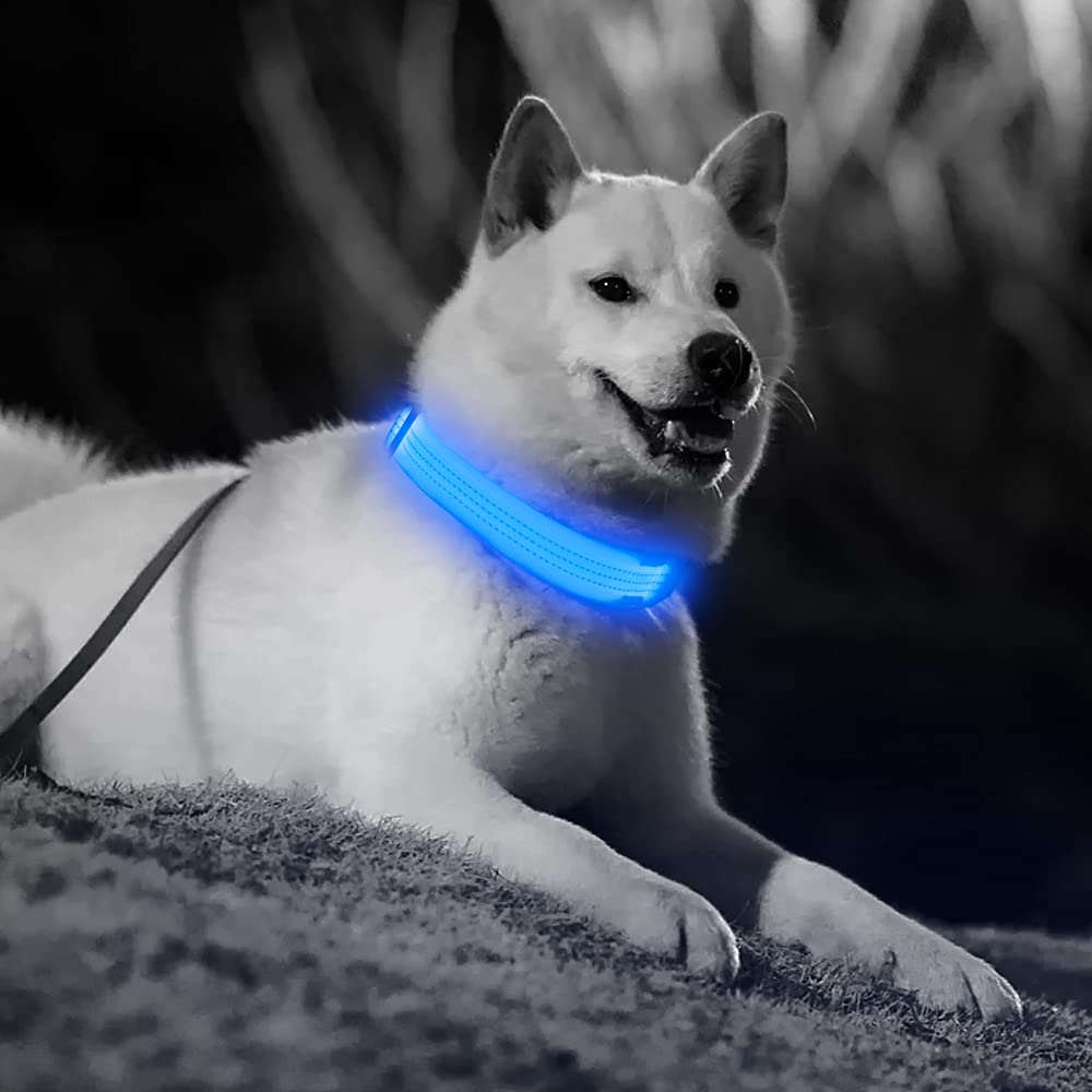 Illumifun Light Up Dog Collar, Usb Rechargeable Led Dog Collars, Reflective Safety Collar Light For Your Dogs Walking At Night (Blueⅲ, Large)