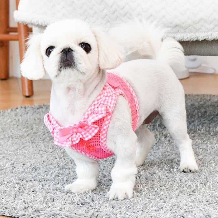 Puppia Vivien Vest Dog Harness Step-In All Season Mesh Cute No Pull No Choke Walking Training For Small Dog, Pink, Small