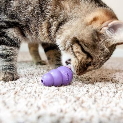 KONG Kitty Classic Cat Toys - 2 Pack - Fillable Treat-Dispensing Toy for Cats - Bounces & Rolls for Interactive Play - Encourage