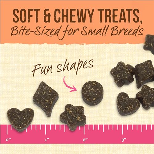 Merrick Lil Plates Small Salmon Recipe Grain Free Small Breed Dog Treats - 5 oz. Pouch