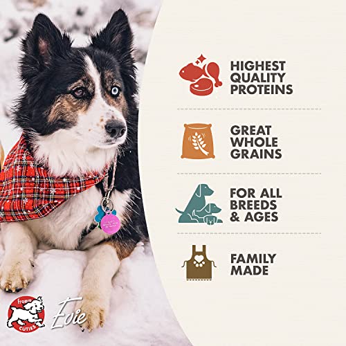 Fromm Four-Star Nutritionals Rancherosa Dog Food - Premium Dry Dog Food - Beef Recipe - 12 lb