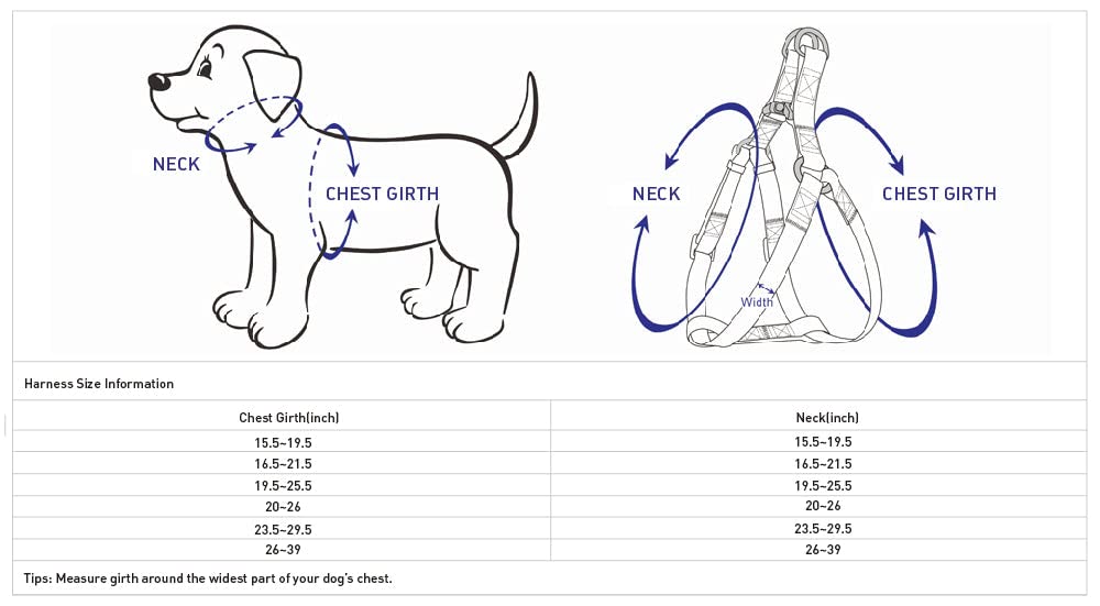 Blueberry Pet Soft & Comfy 3M Reflective Step-In Pastel Color Padded Dog Harness, Chest Girth 15.5' - 19.5', Green Flash, Small, Adjustable Harnesses For Dogs