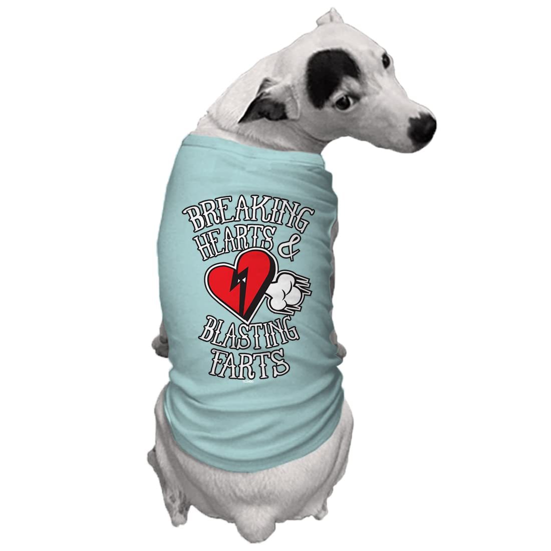 Breaking Hearts & Blastings Farts Dog Shirt (Chill, Large)