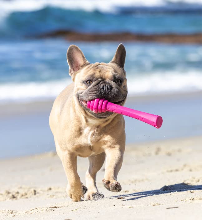 Project Hive ·Pet Company· - Wild Berry Scented - Hive Dog Fetch Stick For Large Breeds - Dog Stick Toy - Floats In Water - Treat Dispenser Toy - Durable And Tough - Made In The Usa