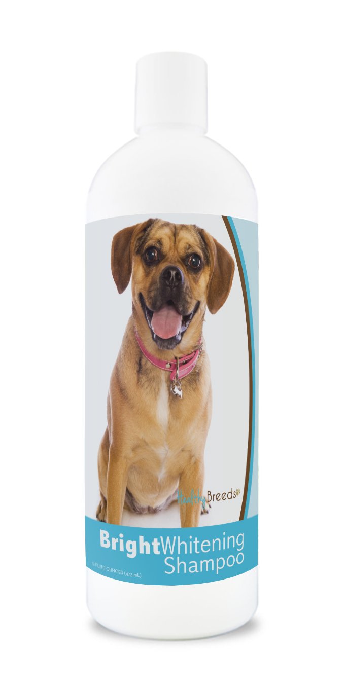 Healthy Breeds Puggle Bright Whitening Shampoo 12 Oz