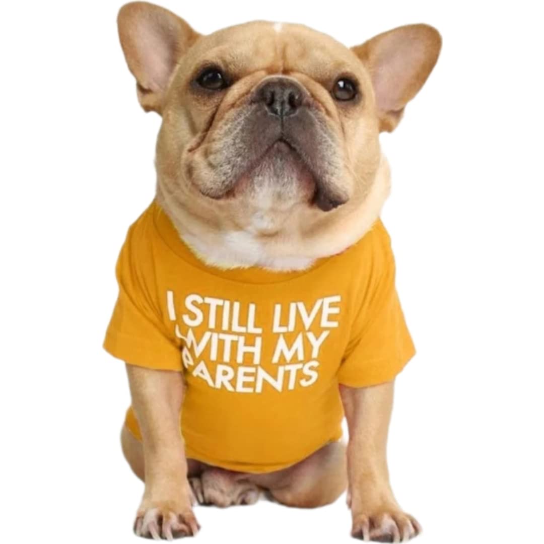 Kutkut Pet Dog Breathable Stretchy Round Neck T-Shirt I Still Live With My Parents Small Dogs Cats Summer Vest T-Shirts Soft Cot