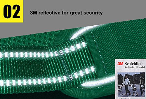 Sgoda Dog Harness, Green, Small