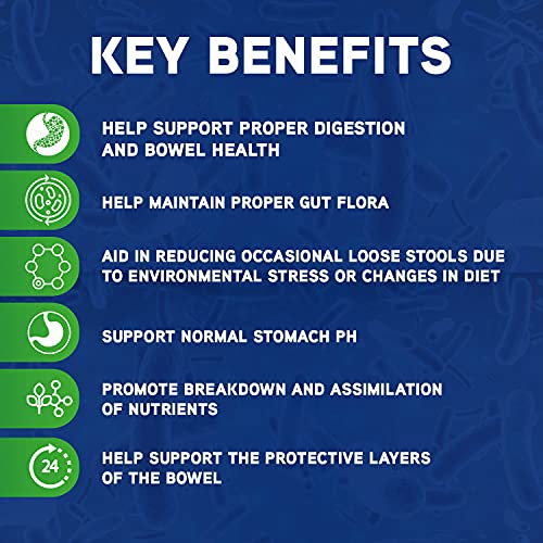 Probios Horse Soft Chews, Apple Flavor, Net Weight 1.32 lbs(600 Grams)