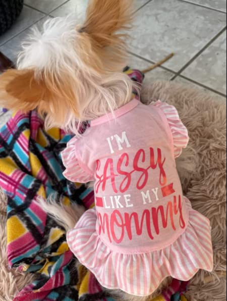 Xpudac 4 Pieces Pet Dog Dress Shirt Puppy Skirt Cute Doggie Dress Dog Summer Clothes Dog Apparel For Small Dogs And Cats (Pink Angel, Xx-Small(1-2 Lbs))
