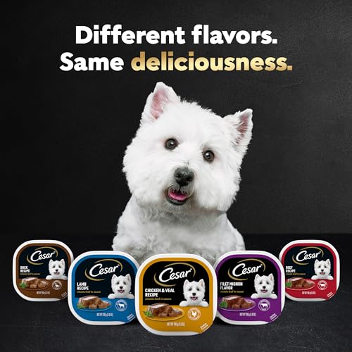 CESAR Adult Wet Dog Food Classic Loaf in Sauce Grilled Chicken, Filet Mignon, Porterhouse Steak, Beef, Chicken & Liver and Turke