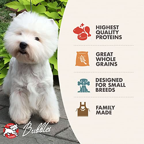 Fromm Small Breed Adult Gold Premium Dry Dog Food - Dry Adult Dog Food for Small Breeds - Chicken Recipe - 15 lb