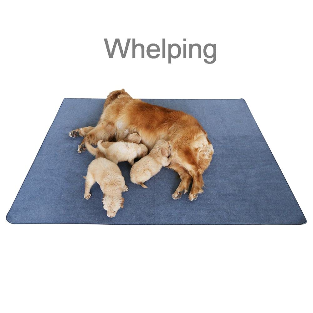 Peepeego Non-Slip Dog Pad 65 X 48, Washable Puppy Pads With Fast Absorbent, Waterproof For Training, Whelping For Puppy Playpen