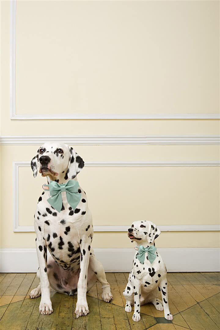 Unique Style Paws Silk Green Color Dog Collar Adjustable Durable Dog Collar With Bow Wedding Bowtie Collar For X-Small Puppy And Cats