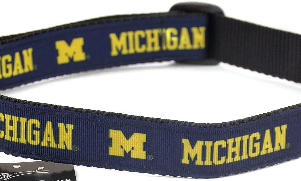 College Dog Collar (Large, Michigan)