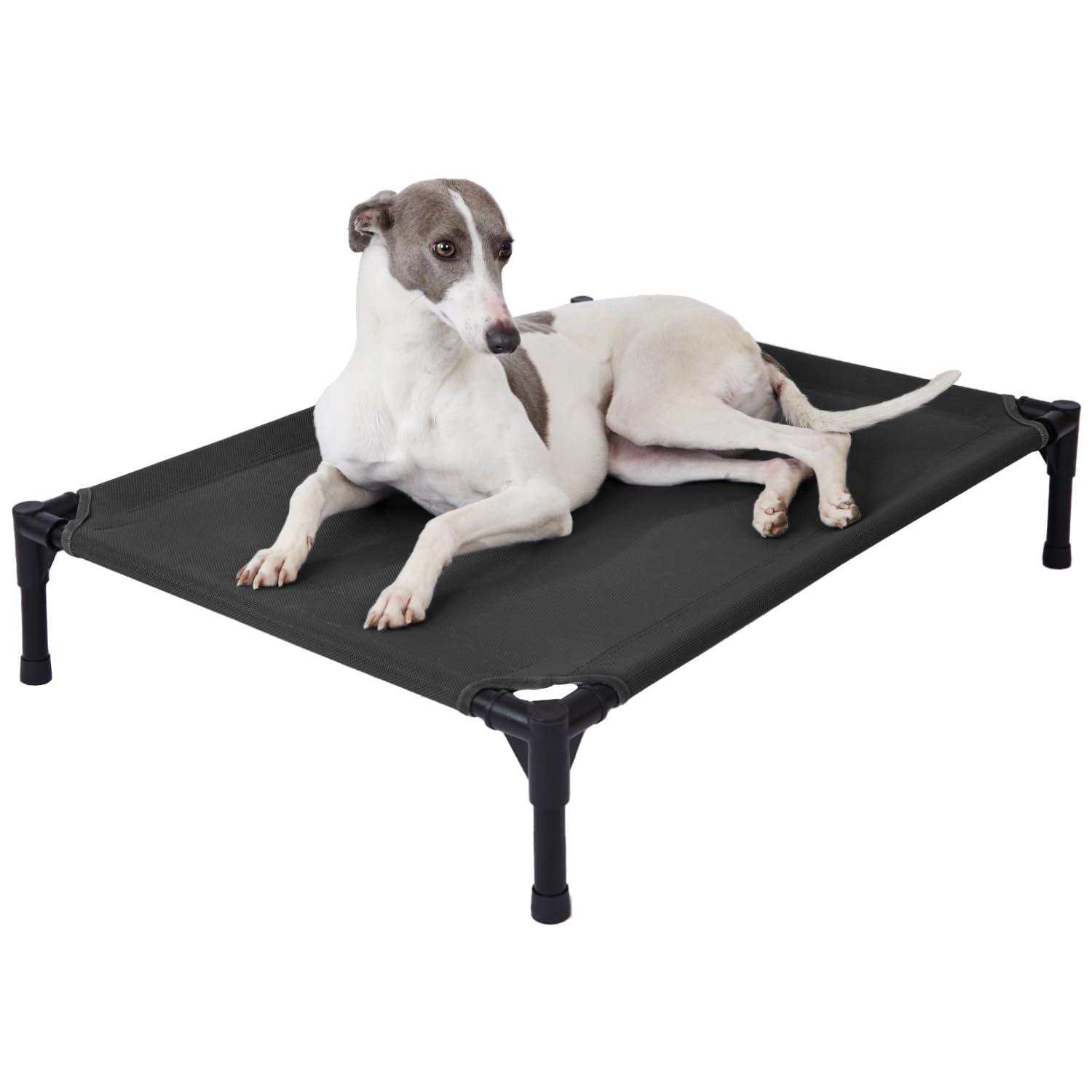 pettycare Elevated Outdoor Dog Bed - Dog Cots for Medium Pet, Heavy Duty Raised Cot Waterproof, Cooling Pets Bed with Washable D