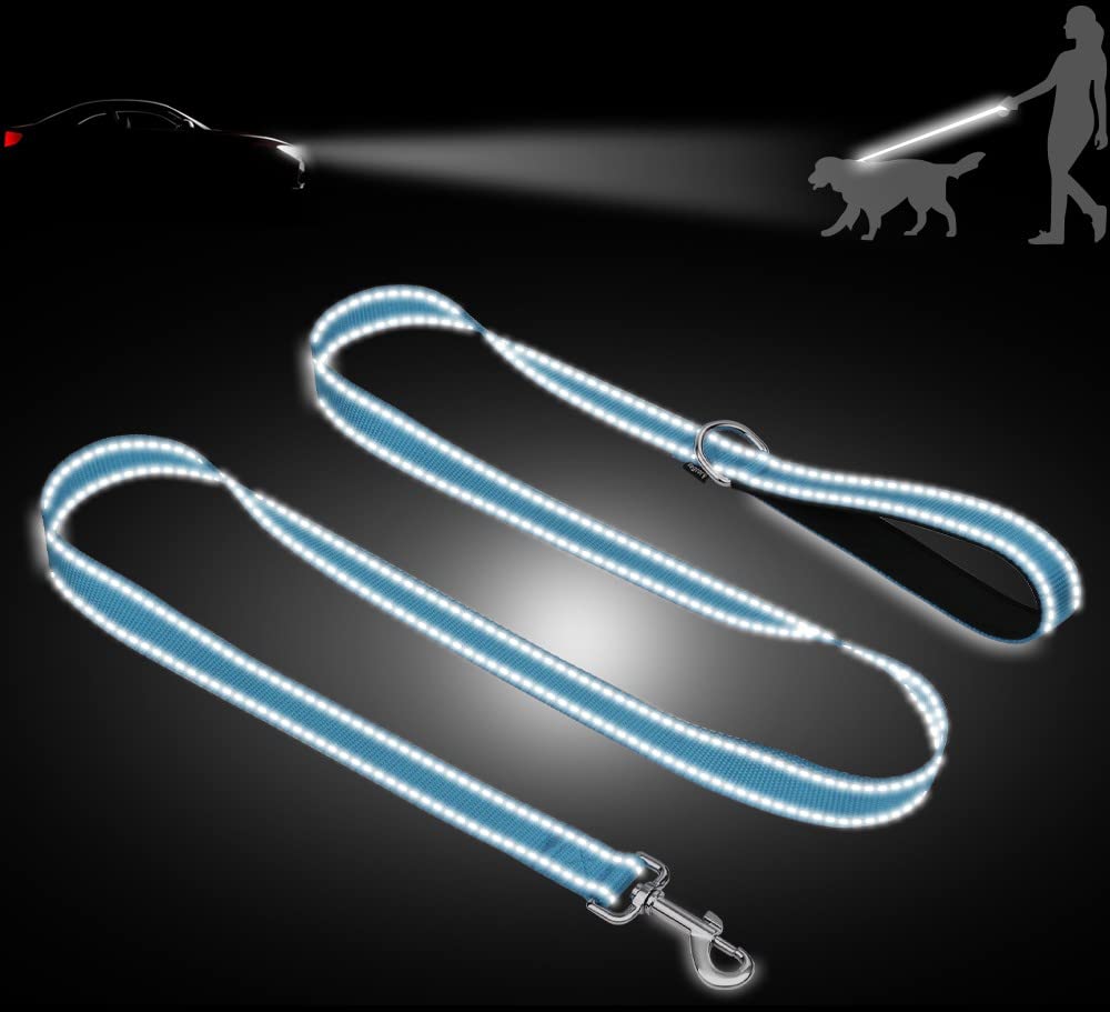 Taglory Nylon Dog Leash 6Ft, Soft Padded Handle Pet Reflective Leashes For Medium Large Dogs Walking & Training, Sky Blue