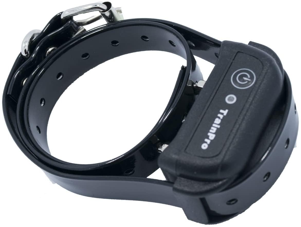 Trainpro Replacement     Collar Strap Bands With Double Buckle Loop Training For All Brands Of Pet Shock Bark E Collars And Fenc