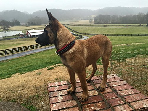 Comfortflex Martingale Collar For Dogs - American Made Slip Collar, Reflective, Adjustable, No Pull Training Collar For Xlarge Dogs – Soft, 1.5' Wide, Fully Padded, Escape Proof - Xlarge, Red