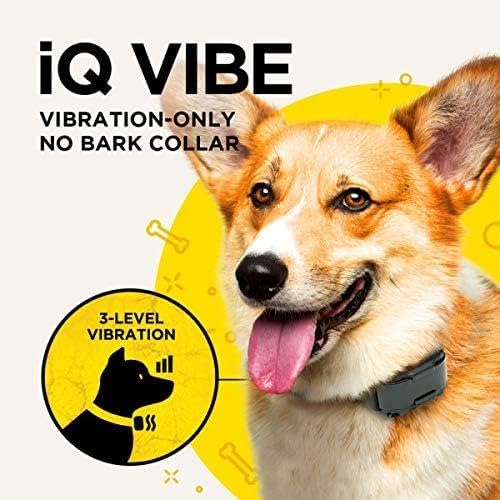 Dogtra iQ Vibe Rechargeable Waterproof Vibration No Bark Collar - Compact Black, 28 Inch