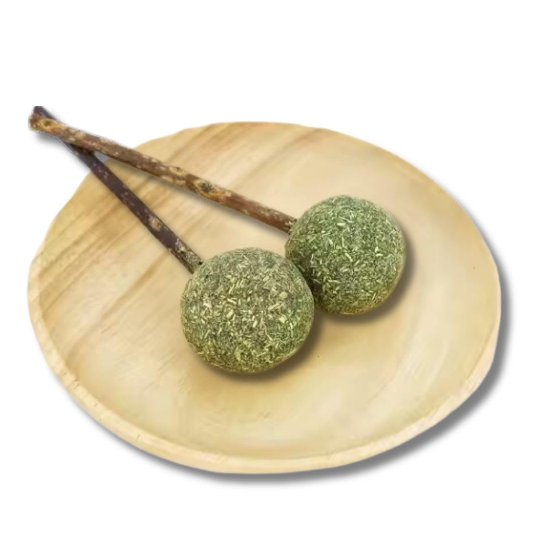 Pet Fun Catnip Mint Ball Toy | Natural Catnip Lollipop Treats For Teeth Cleaning, Chewing, And Licking | Fresh Breath & Playful 