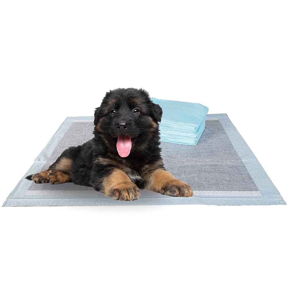 Bv Xl Puppy Pads X-Large Leak-Proof 28''X34'' [40Ct] | Carbon Pee Pads For Dogs Ultra Absorbent - Charcoal Dog Pee Pads Extra La