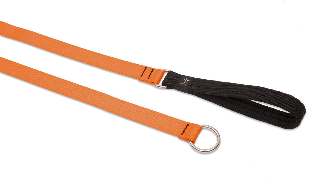 Lupinepet Basics 3/4' Blaze Orange 6-Foot Slip Lead/Leash For Medium And Larger Dogs