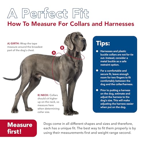 Coastal Pet Size Right Adjustable Dog Harness - Small & Big Dog Harness - Comfortable Dog Training Harness - Includes Snap-Lock Buckle - Quality Dog Supplies - Blue, 3/8' X 12-18'