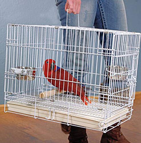 Large Portable Durable Metal Travel Or Veterinary Easy Collapsable Parrot Bird Carrier Beaks Proof Carrier Cage Easy Clean Pull 