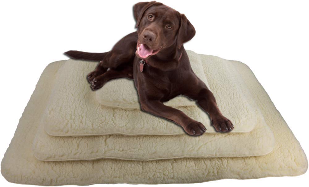 Activedogs Hi Loft Sherpa Faux Lambskin Dog Bed - Small 18''X24'' - Orthopedic & Machine Washable - Double Layered