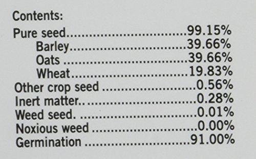 Ourpets Kitty Cat Growable Grass Kit