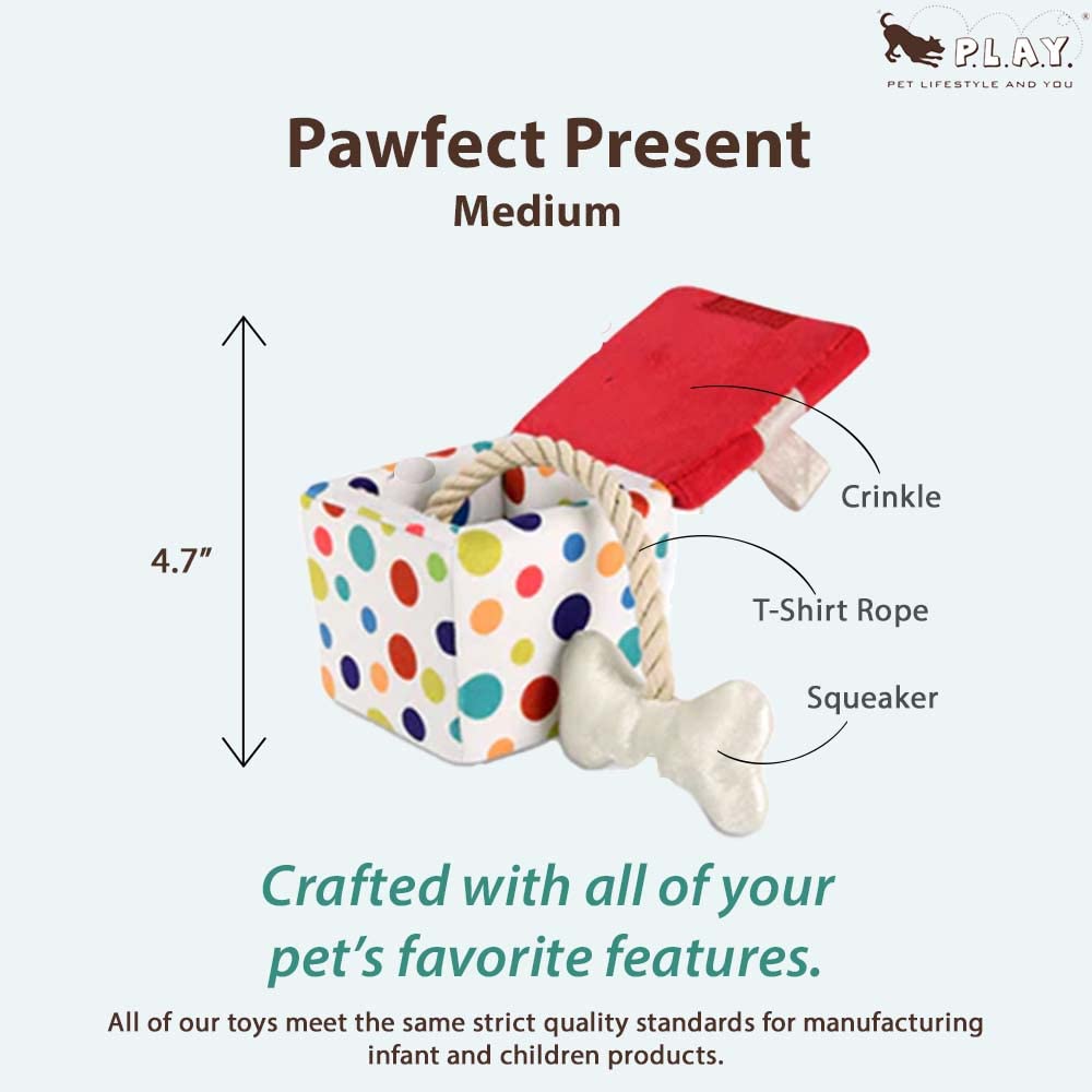 P.L.A.Y. Cute Plush Dog Toys - Birthday Party Celebration Themed Durable Squeaker Chew Toy, Great For Puppies & Small, Medium, L