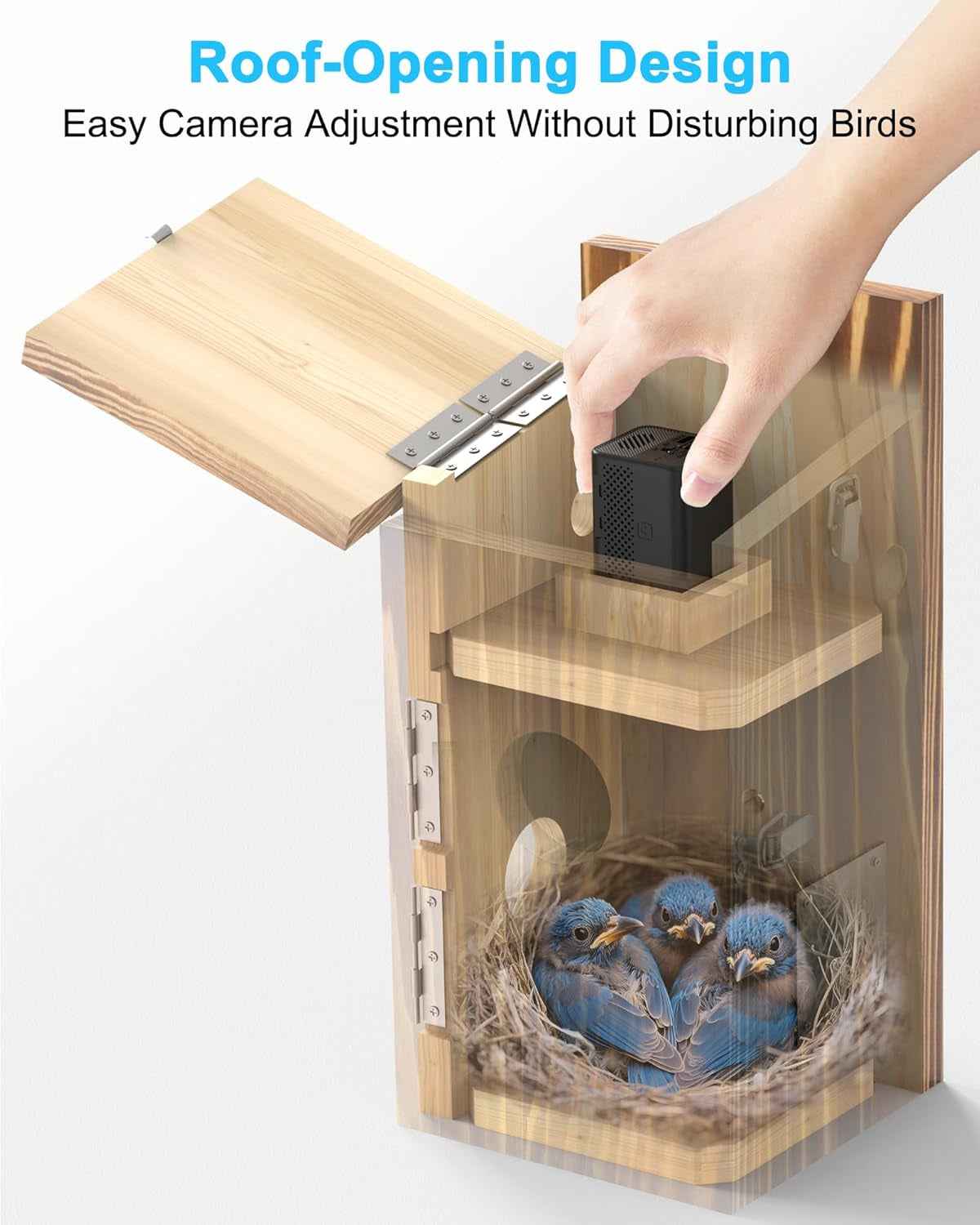 Smart Bird House Camera – Solar WiFi, 2K HD, Motion Alerts & Time-Lapse