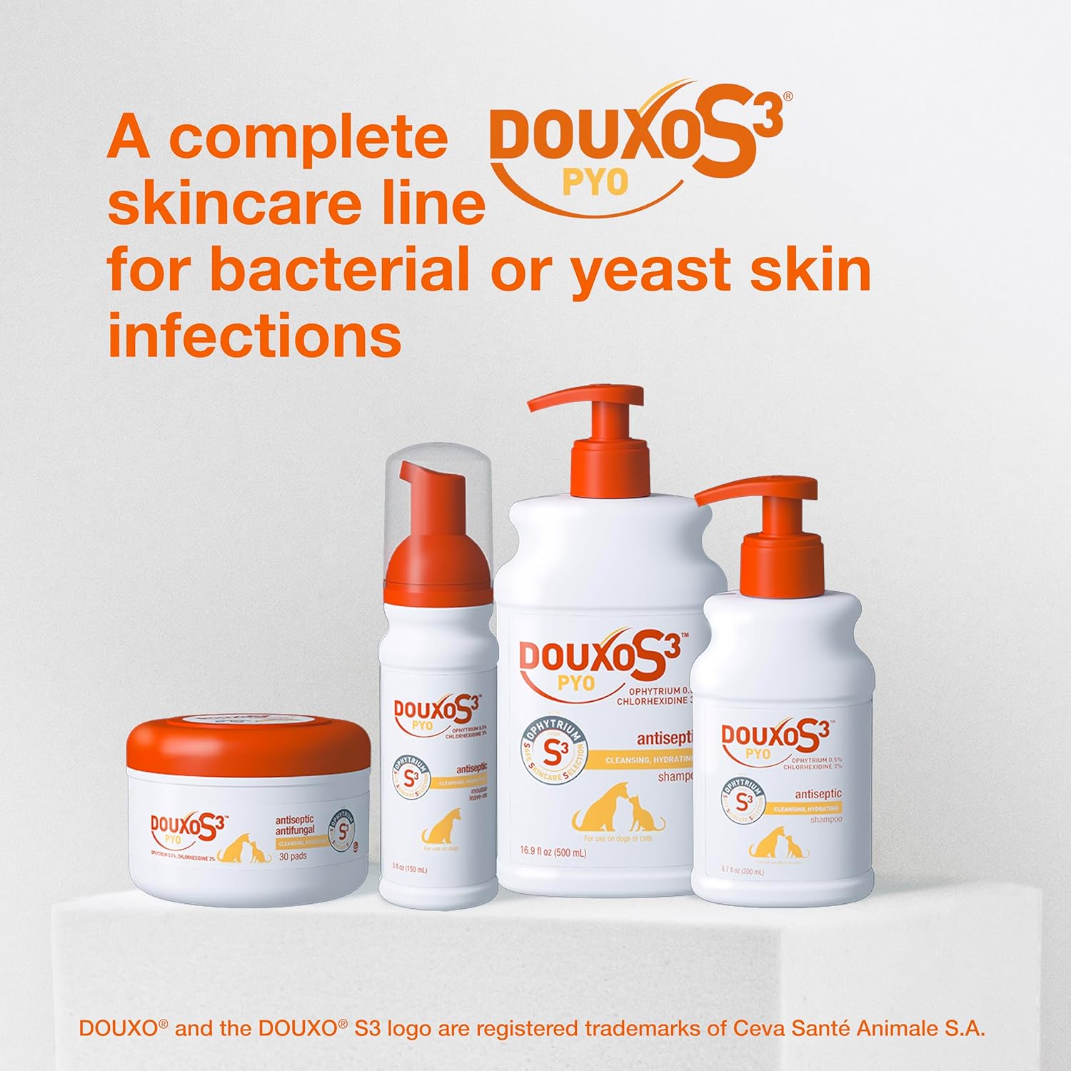 Douxo S3 PYO Mousse Dogs & Cats No-Rinse Skin Coat Care 5.1 oz