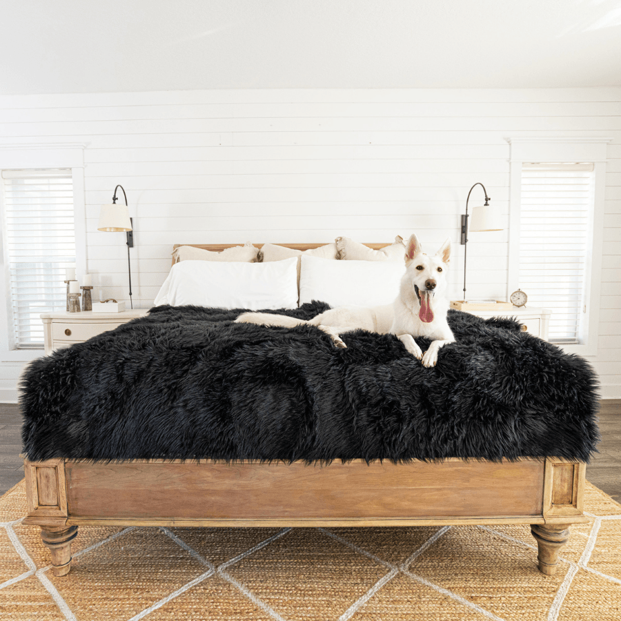 PupProtector Waterproof Throw Blanket - Midnight Black