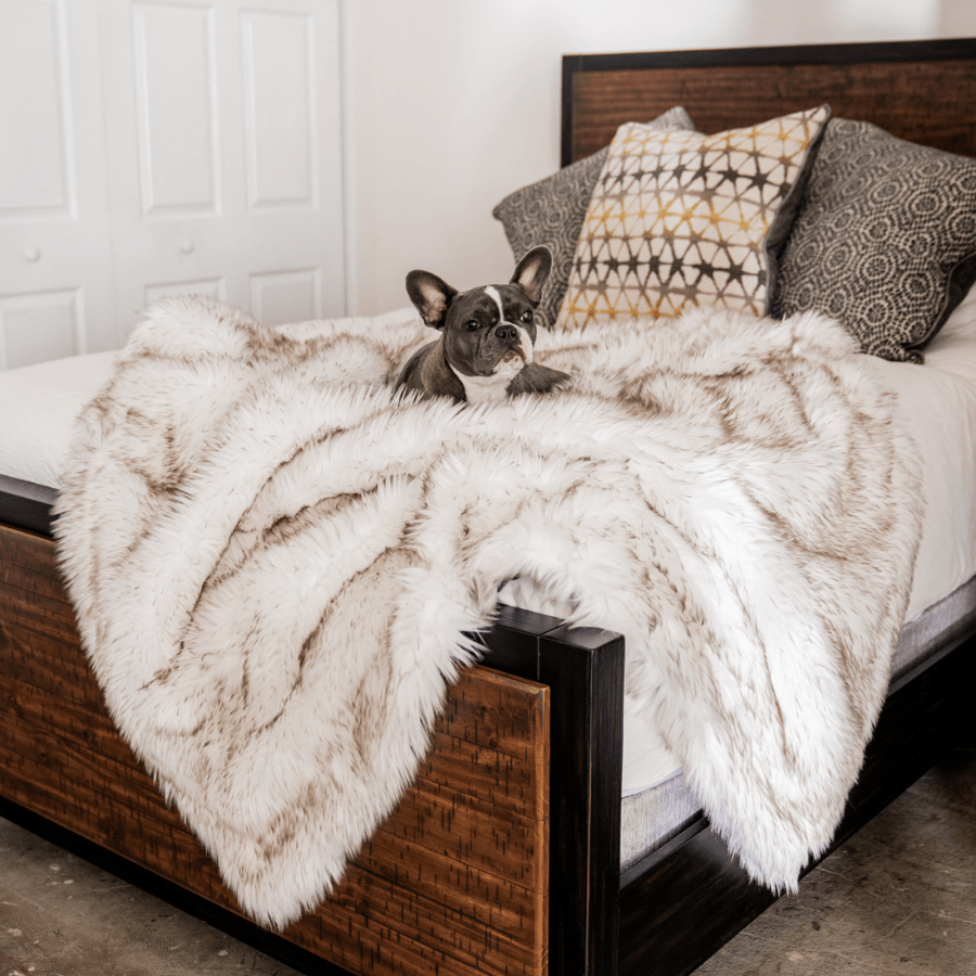 PupProtector Waterproof Throw Blanket - White with Brown Accents