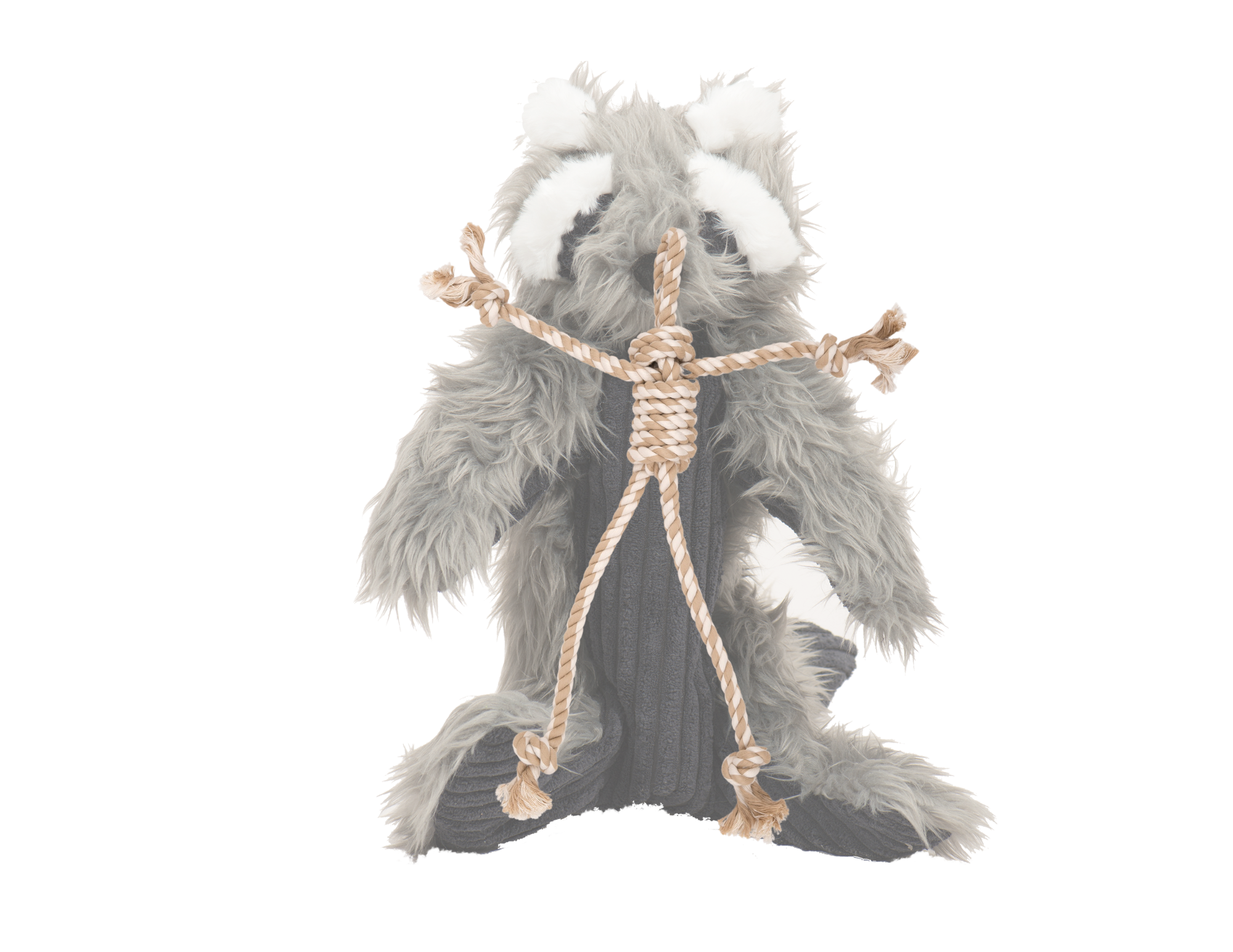 Redwood Raccoon X-Brace® Plush Dog Toy
