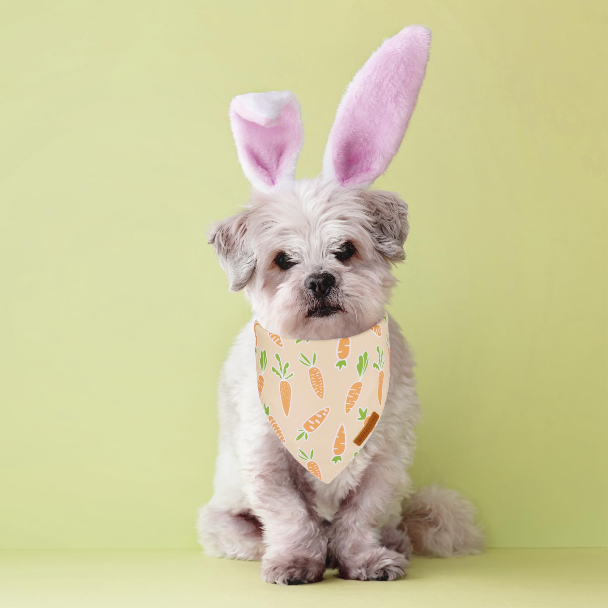 ADOGGYGO Easter Dog Bandanas, Rabbit Carrot Puppy Scarf, Multi Size Offered, Orange Blue Easter Bandana for Small Dogs Pets (Sma