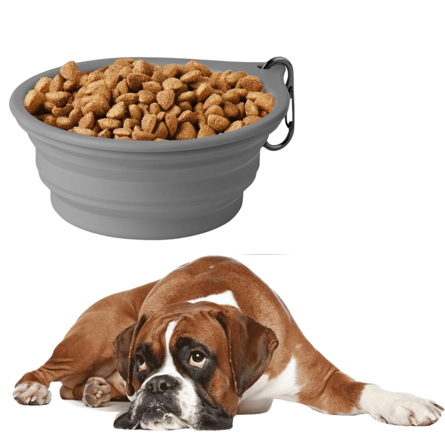 Sage Square Dog Travel Foldable Bowl  Lightweight, Durable, Portable & Collapsible Pet Bowl With Easy Cleaning, Compact Design 