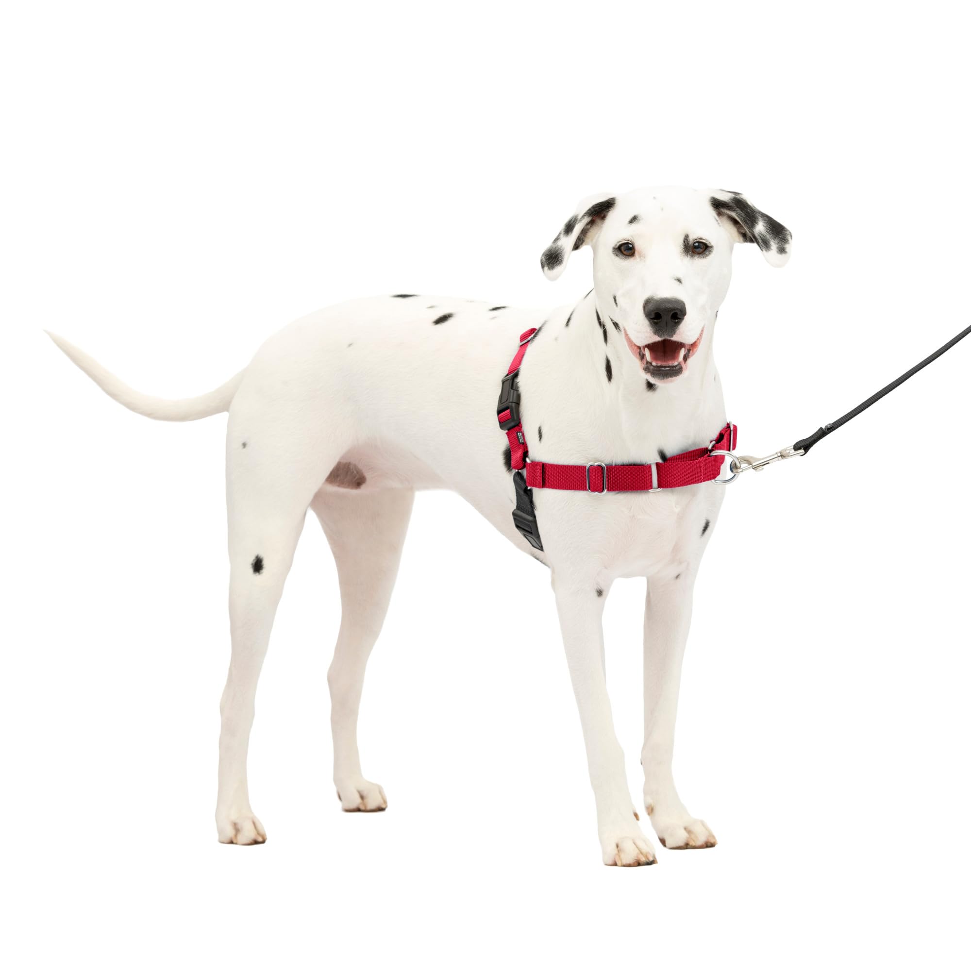 Easy Walk Harness (M/L)(Red)