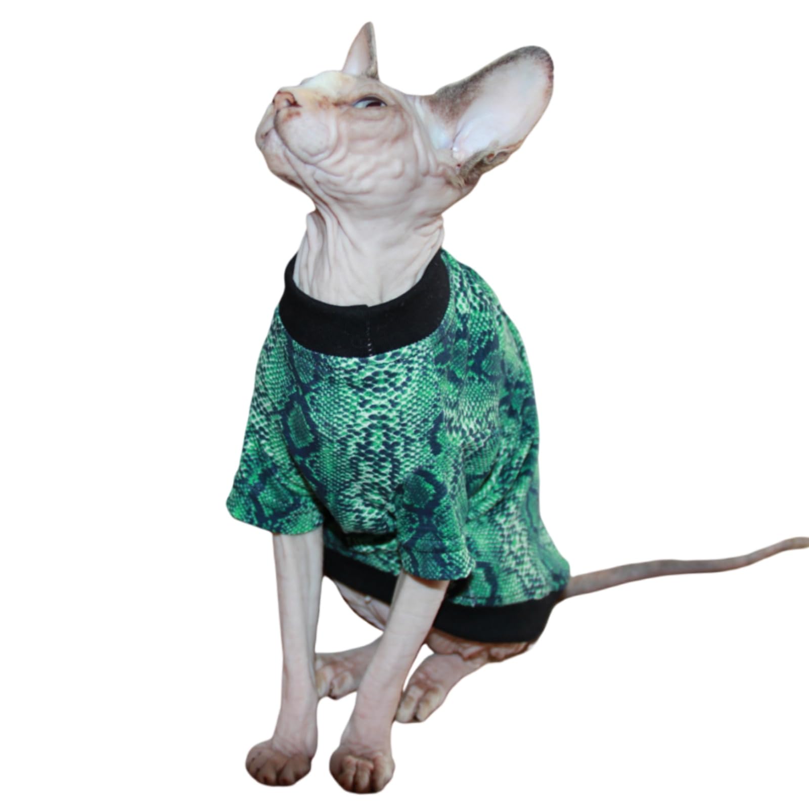 Sphynx Cat Clothes Vest Hairless Cat T-Shirts Pet Kitten Clothes Kitten Shirts Vest Cats & Small Dogs Apparel (Snake Round Neck,