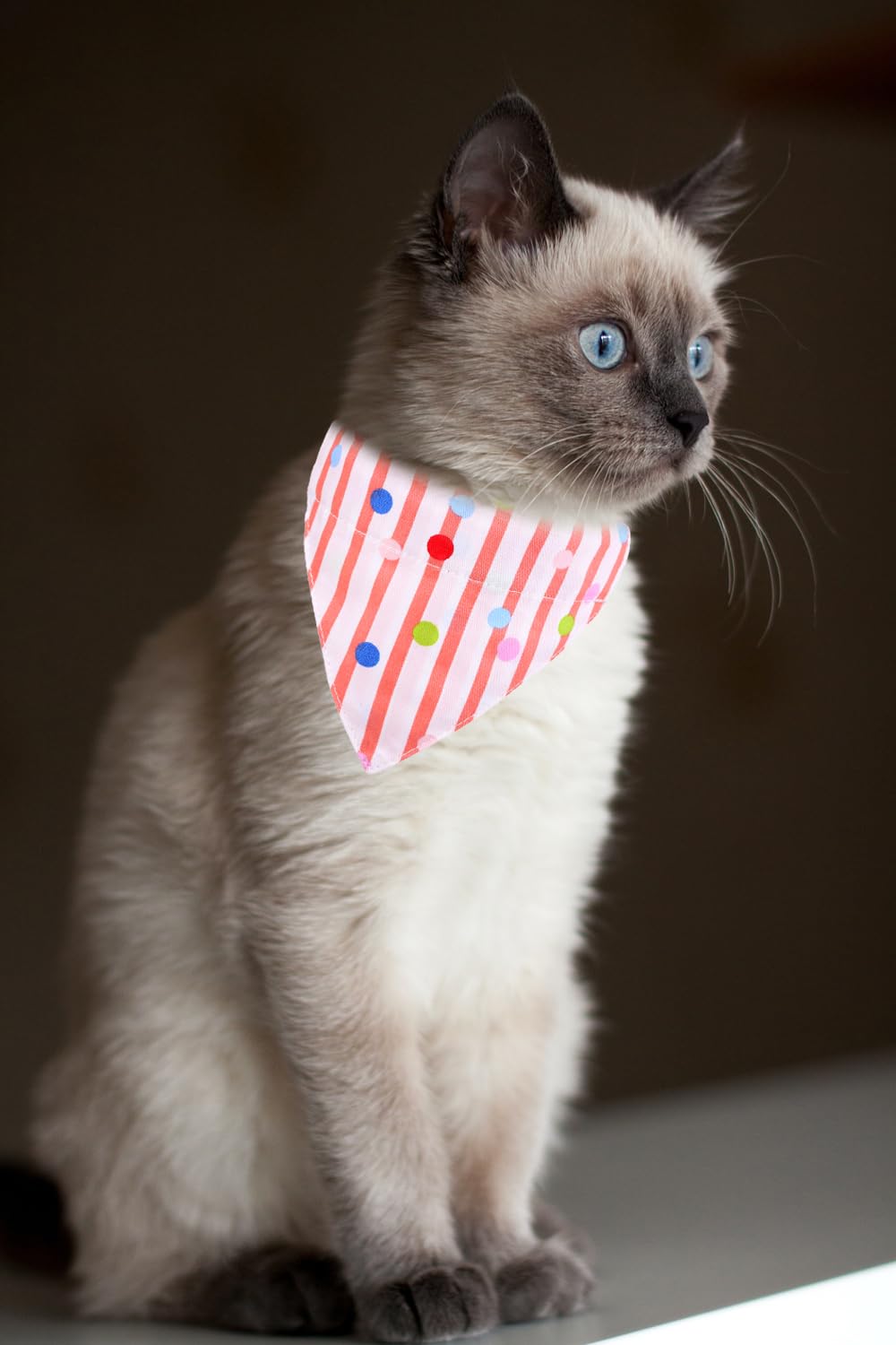 Cat Collars Breakaway With Bandana Bell Tomato Pet Kitten Adjustable For Small Dog Puppies Girl Boy